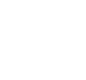 service vereinbaren 300x280