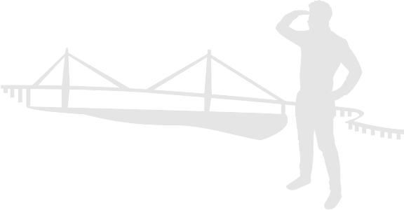 scout bridge x300