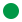 c181green3-24x24